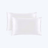 19/22 Momme Silk Pillowcase With Hidden Zipper Bundle 2 Ivory Standard (20" * 26")