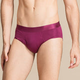 Classic Mens Silk Briefs Sexy Silk Triangle Boxer Claret S