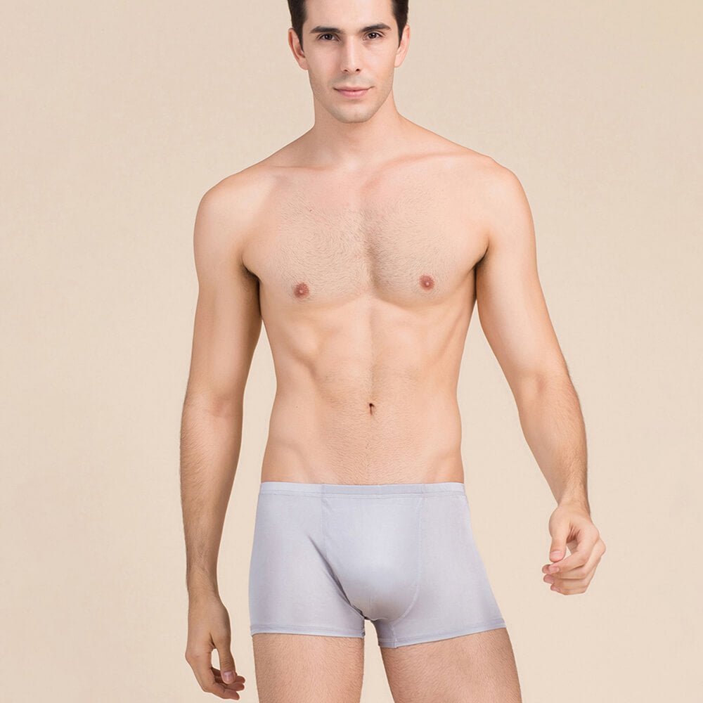 Silk Boxer Briefs Men Silk Knitted Underwear Comfy Silk Boxer Silver Gray S