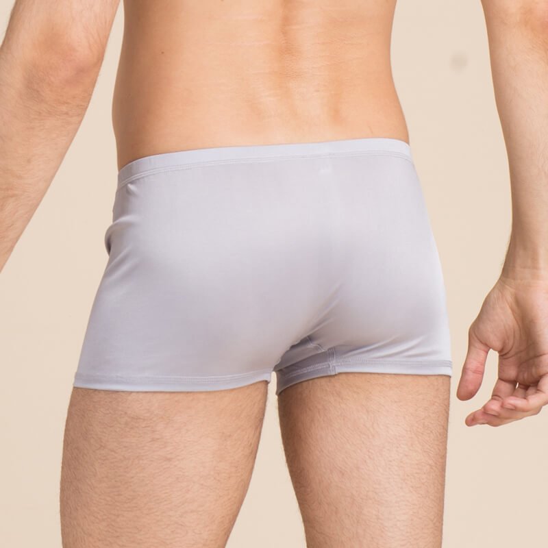 Silk Boxer Briefs Men Silk Knitted Underwear Comfy Silk Boxer Silver Gray S