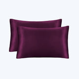 19/22 Momme Silk Pillowcase With Hidden Zipper Bundle 2 Deep Purple Standard (20" * 26")