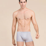 Silk Boxer Briefs Men Silk Knitted Underwear Comfy Silk Boxer Silver Gray S