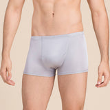 Mulberry Silk Men's Boxer Briefs Silk Knitted Briefs Silver Gray S